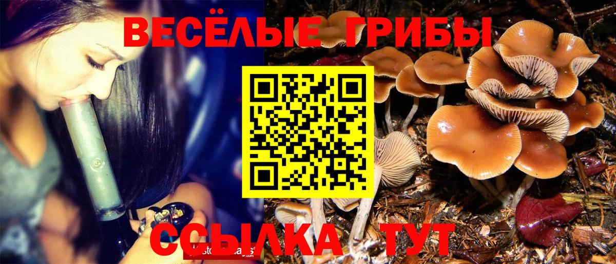 Галлюциногенные грибы ЛСД Ртищево
