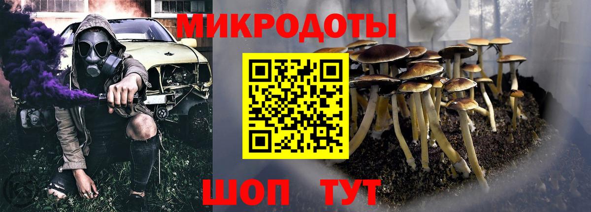Галлюциногенные грибы GOLDEN TEACHER  Вход с VPN  Ртищево  Псилоцибиновые грибы GOLDEN TEACHER 